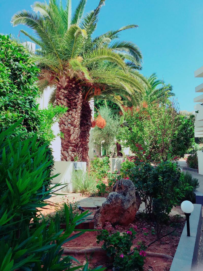 Hotel Amnissos à Pigianos Kampos  Extérieur photo